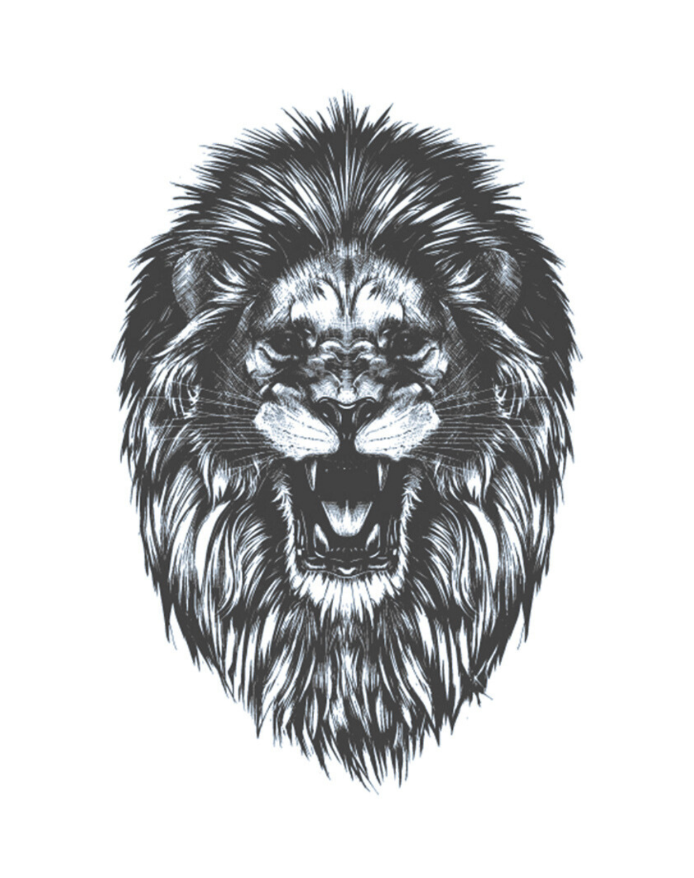 Lion Roar