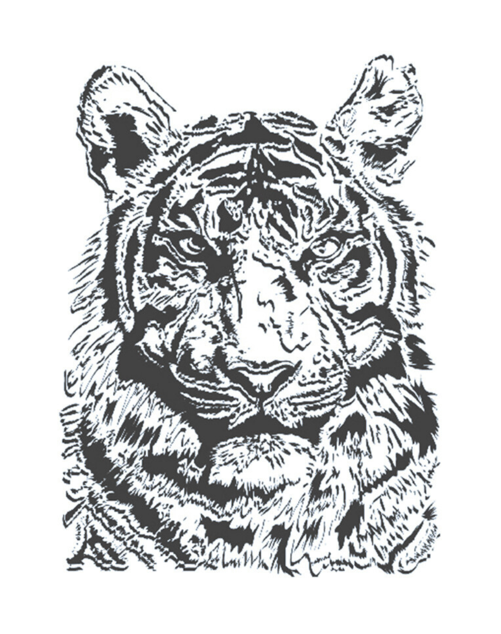 Tiger Stare