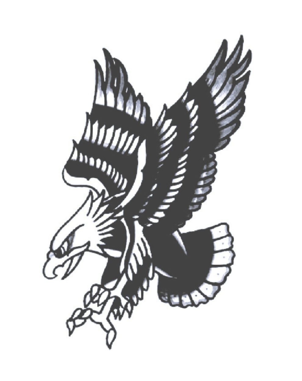 Mini Eagle