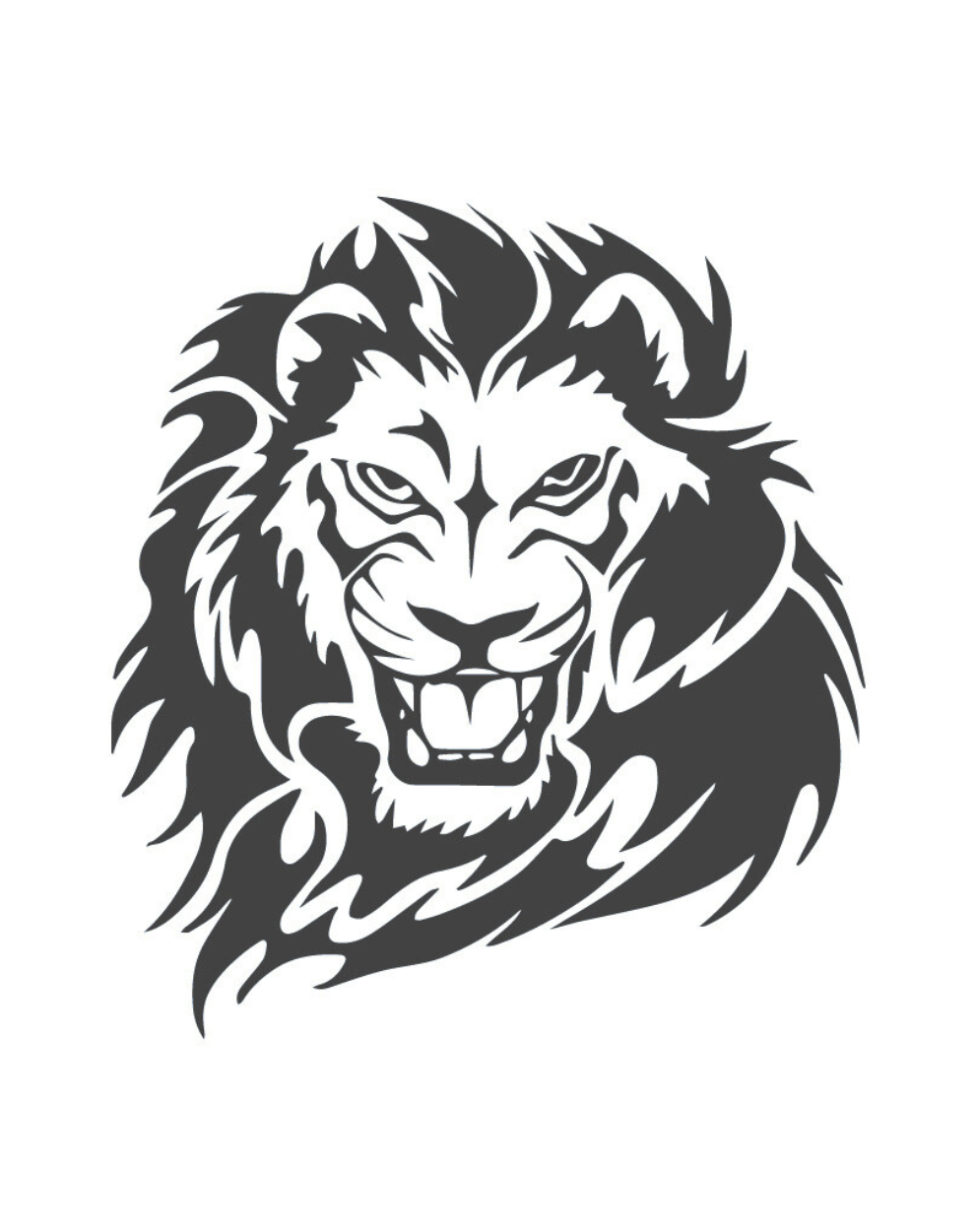 Lion Blaze