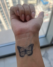 Butterfly