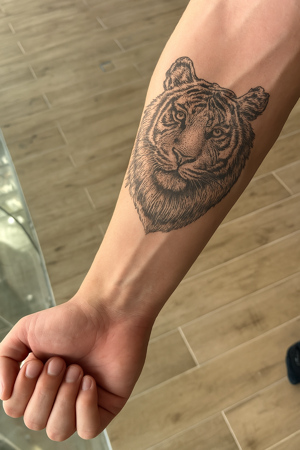 Tiger Stare