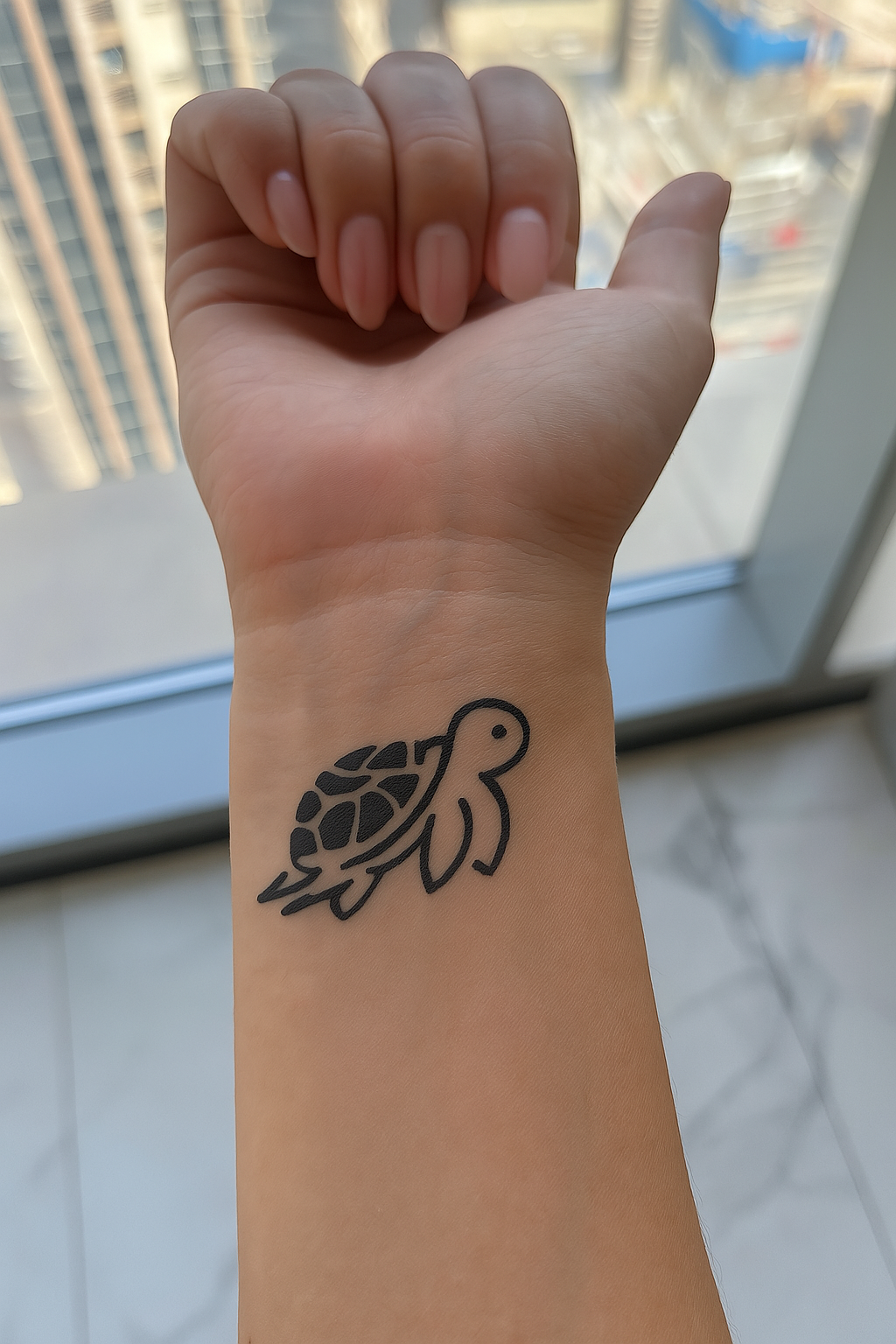 Turtle